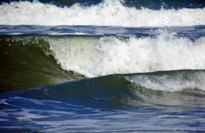 Surf Is Up